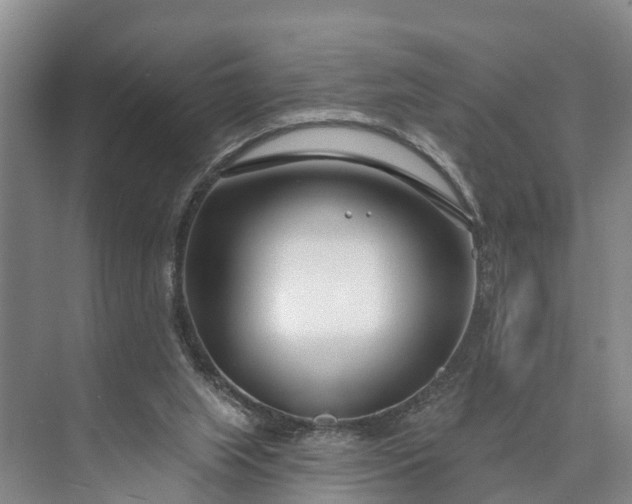 X0000073520063200608141011