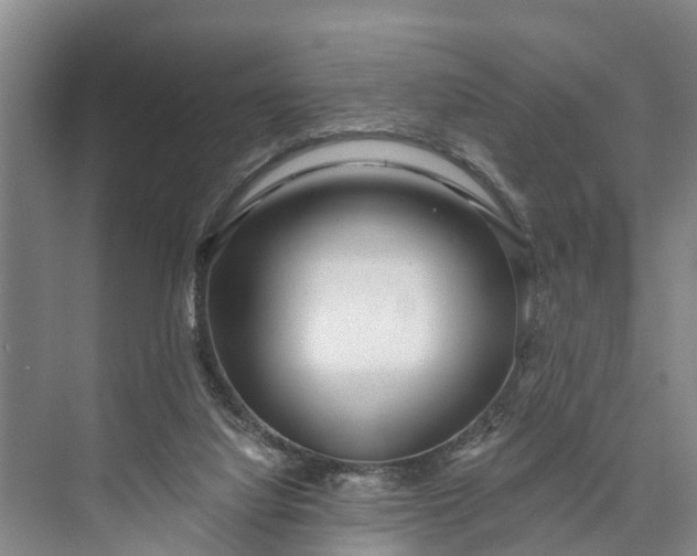 X0000073520068200608141011