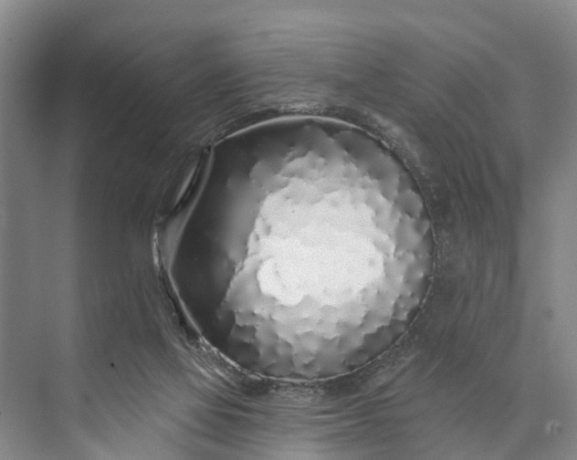 X0000073520069200608141011