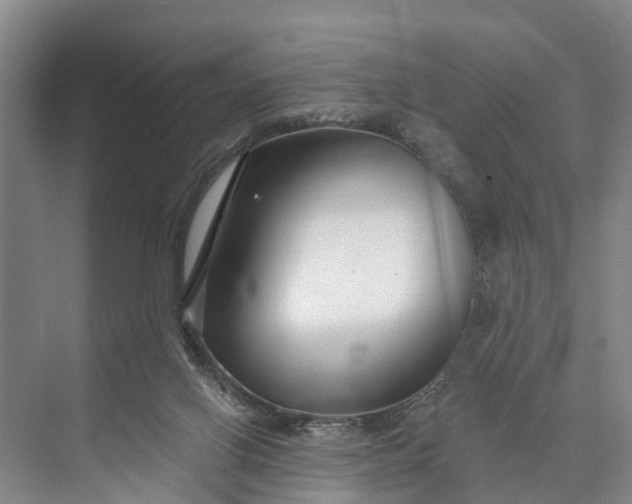 X0000073520070200608141011