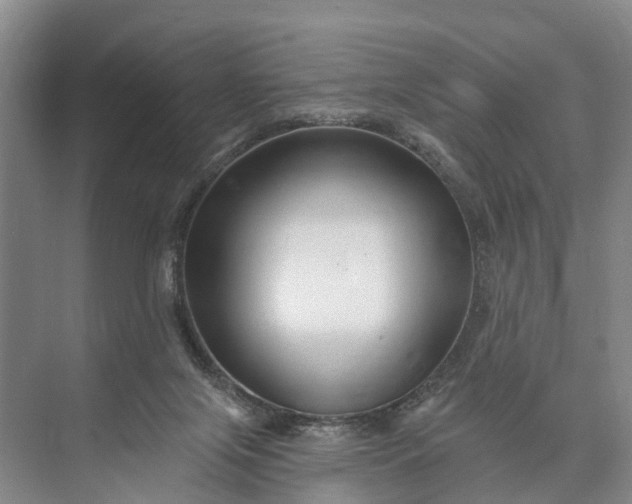 X0000073520071200608141011