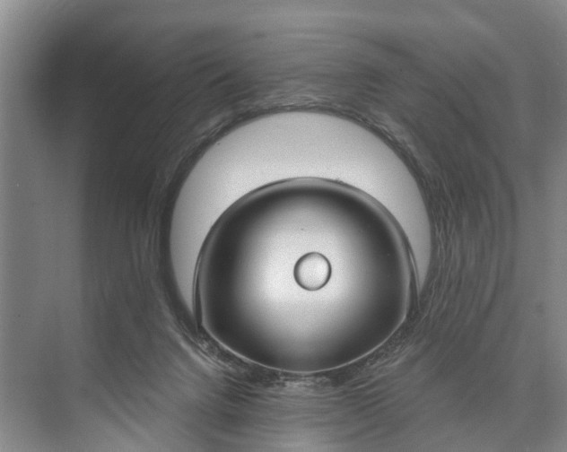 X0000073520072200608141011