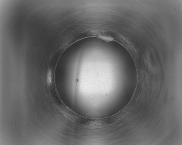 X0000073520075200608141011