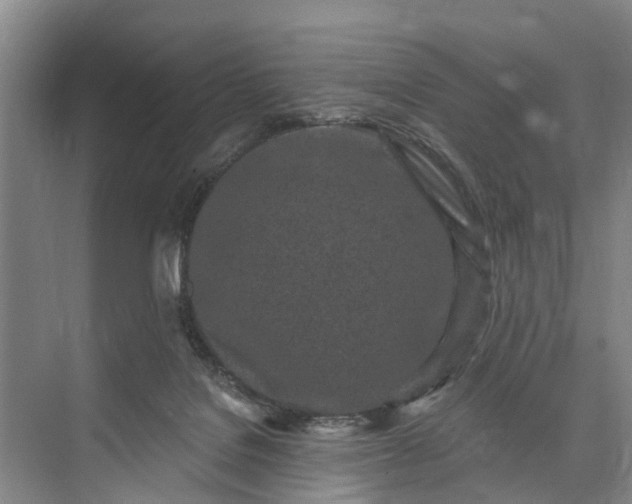 X0000073520076200608141011