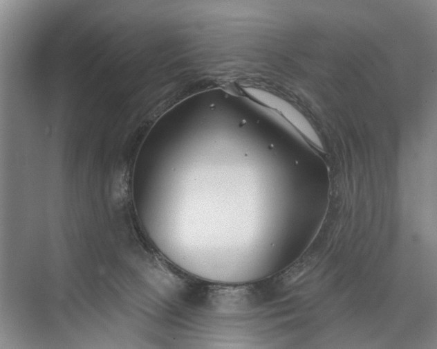 X0000073520081200608141011