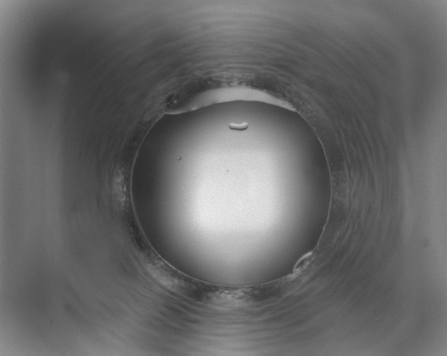 X0000073520086200608141011