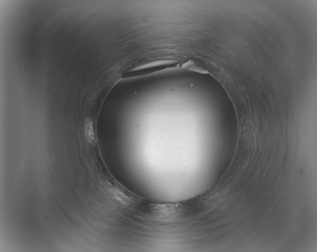 X0000073520089200608141011