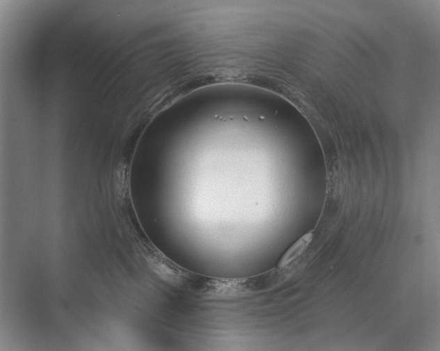 X0000073520093200608141011