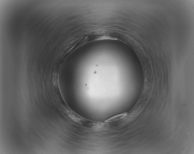 X0000073520096200608141011