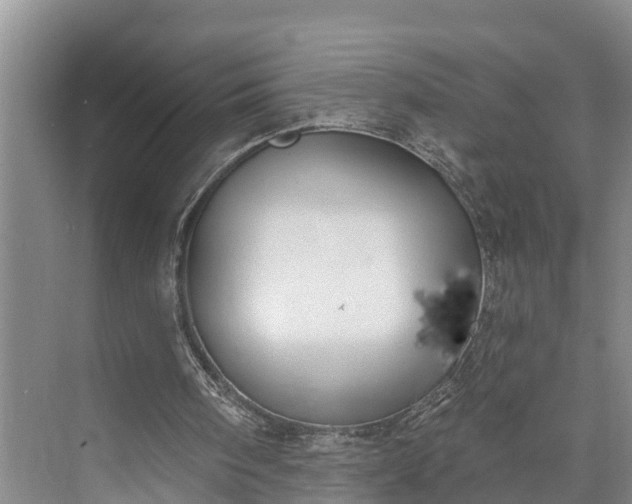 X0000073520098200608141011