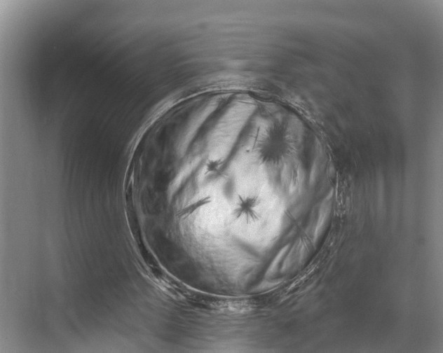 X0000073520099200608141010