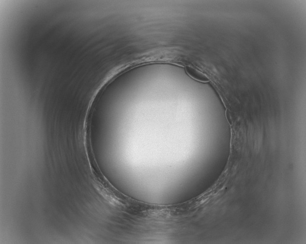 X0000073520100200608141010