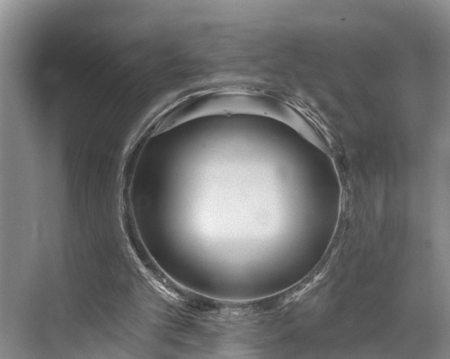 X0000073520101200608141010