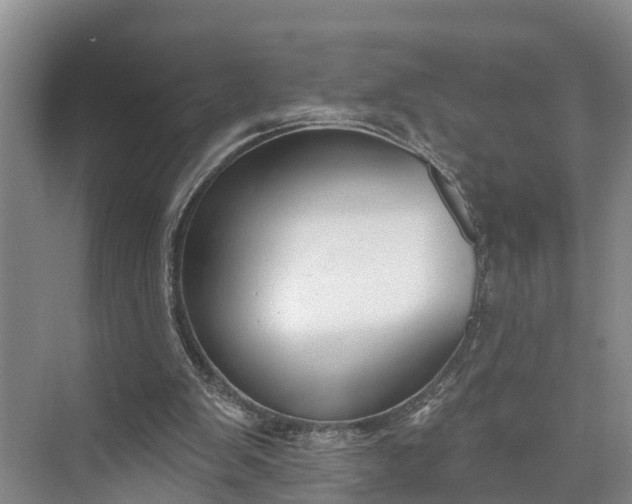 X0000073520103200608141010