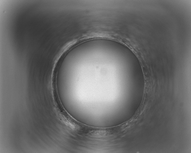 X0000073520104200608141010