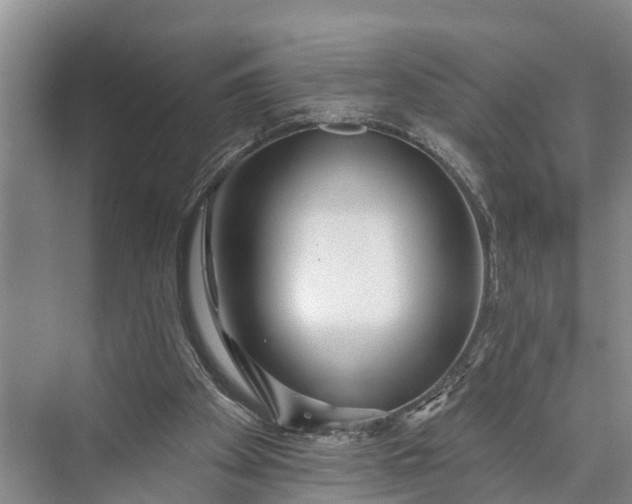 X0000073520105200608141010