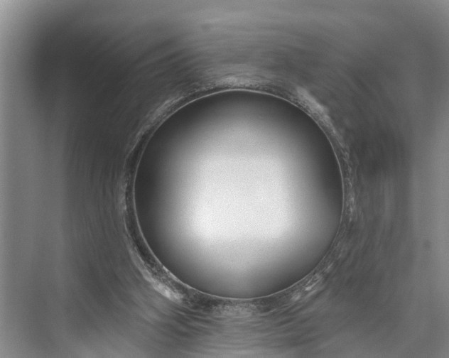 X0000073520106200608141010