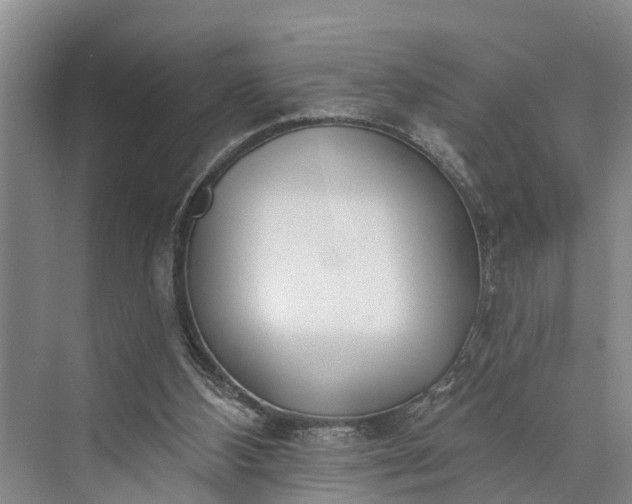 X0000073520108200608141010