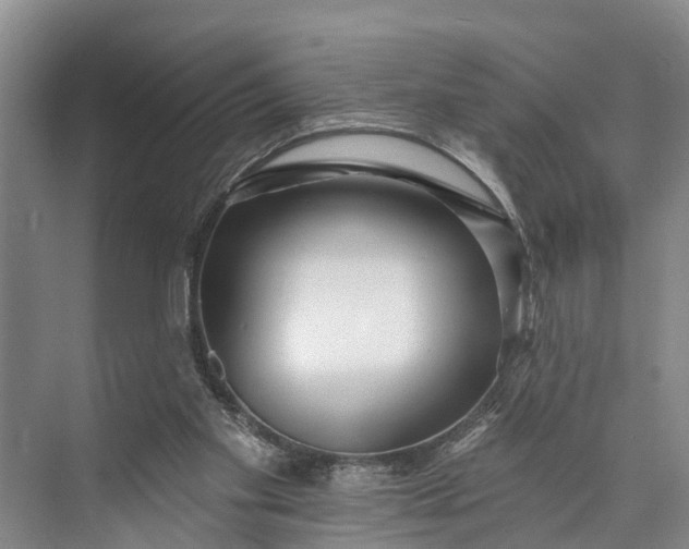 X0000073520109200608141010