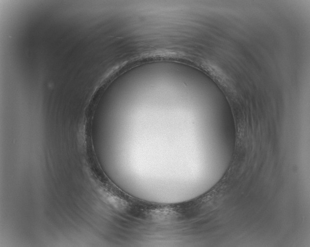 X0000073520112200608141010