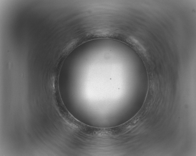 X0000073520115200608141010