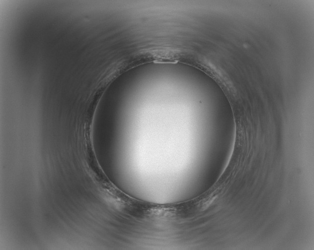 X0000073520117200608141010