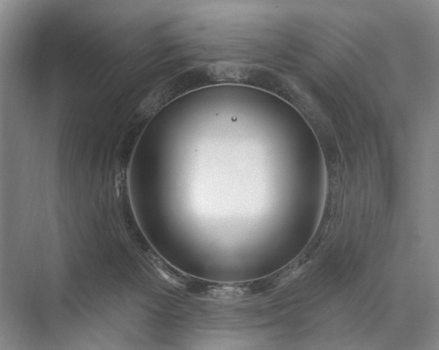 X0000073520125200608141010