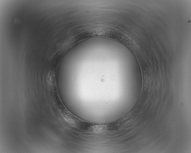 X0000073520126200608141010