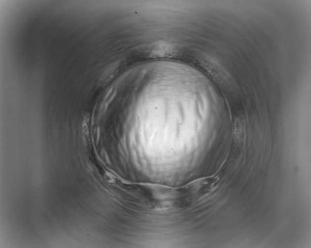 X0000073520127200608141010