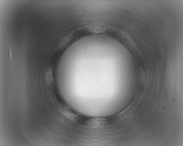 X0000073520128200608141010