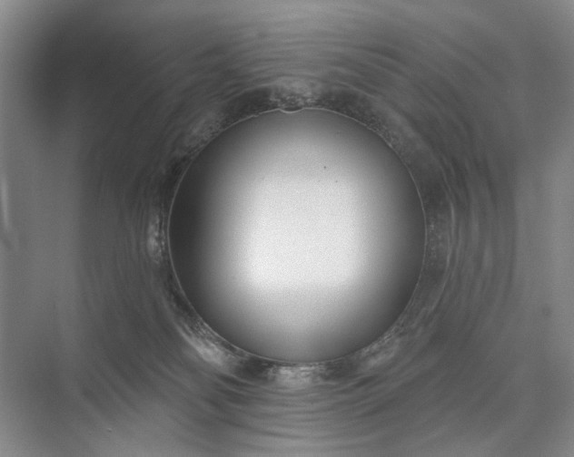 X0000073520134200608141010