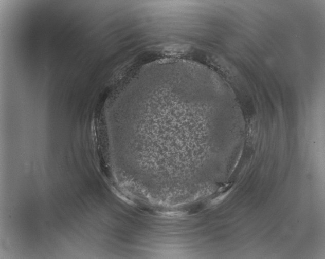 X0000073520137200608141010