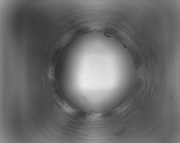 X0000073520138200608141010