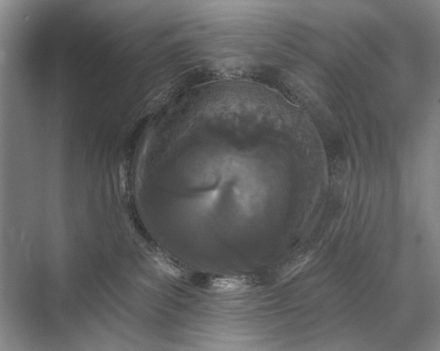 X0000073520139200608141010