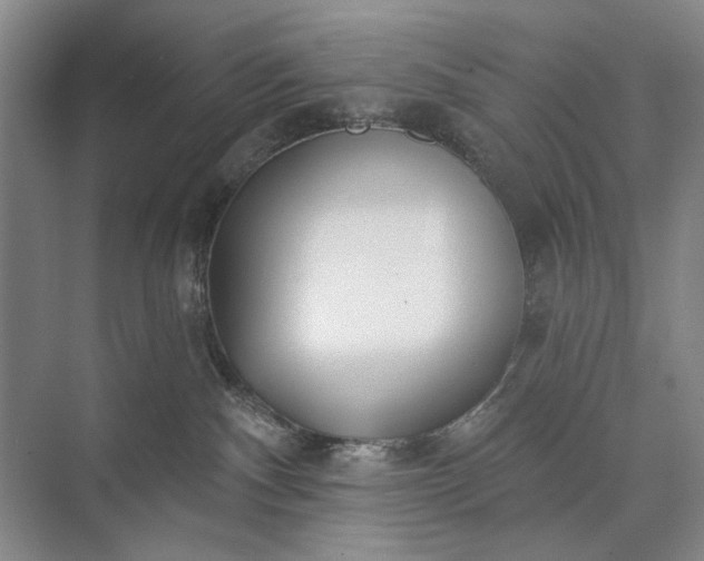 X0000073520140200608141010