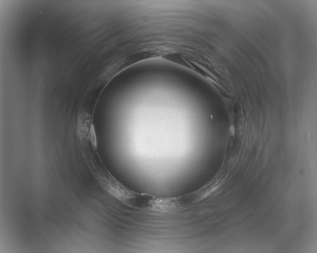 X0000073520141200608141010