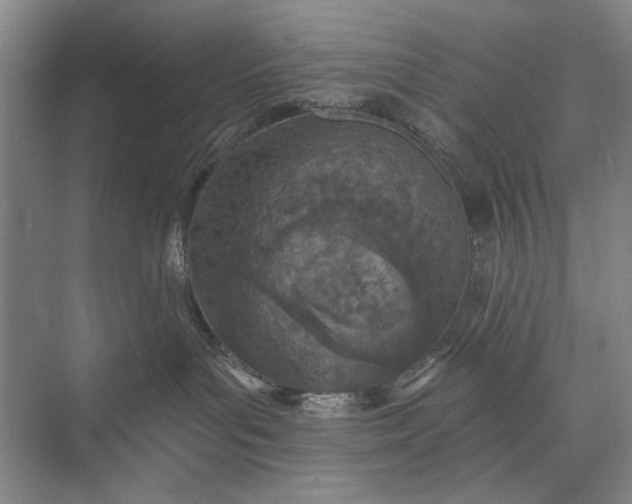 X0000073520143200608141010