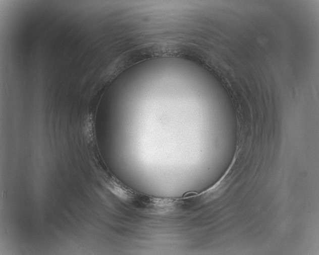 X0000073520144200608141010