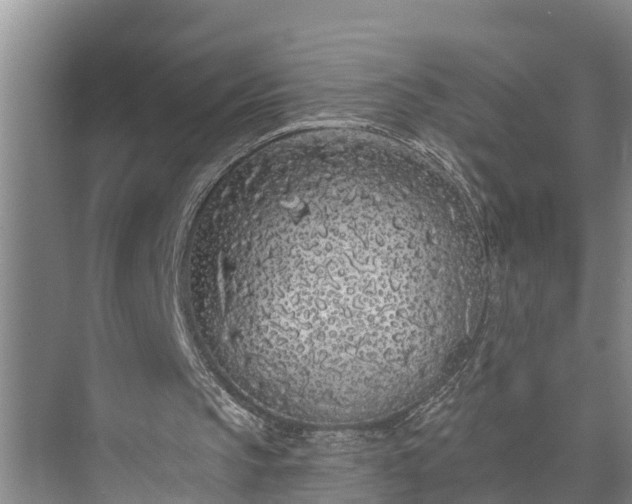 X0000073520145200608141009