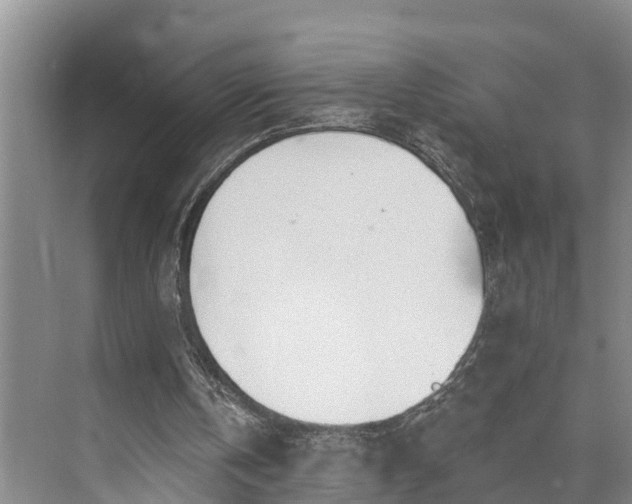 X0000073520146200608141009