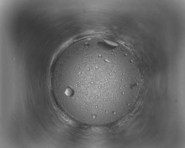 X0000073520149200608141009