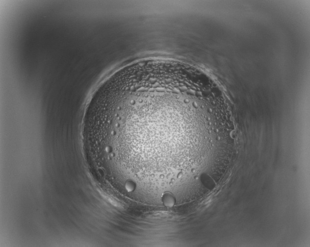 X0000073520151200608141009