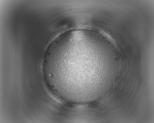 X0000073520155200608141009