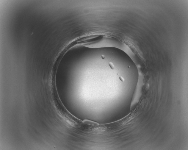 X0000073520156200608141009