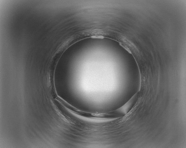 X0000073520158200608141009