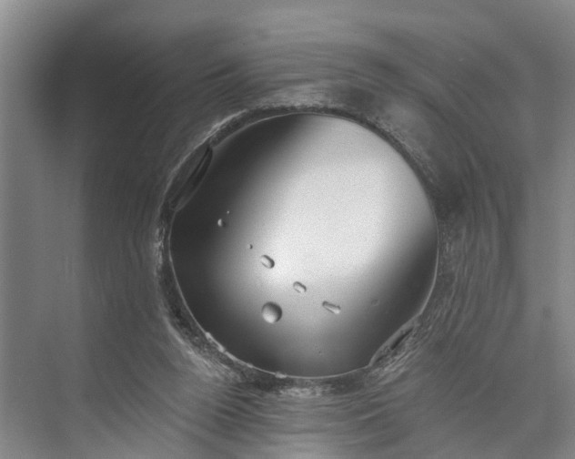 X0000073520160200608141009