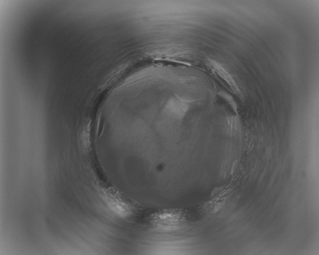 X0000073520163200608141009