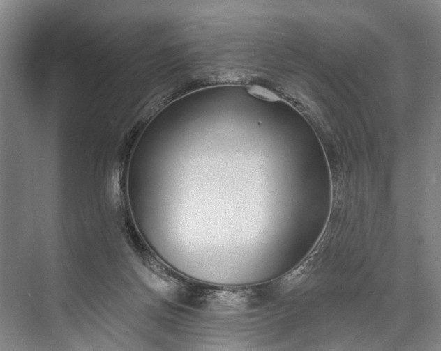 X0000073520166200608141009