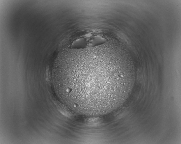 X0000073520173200608141009