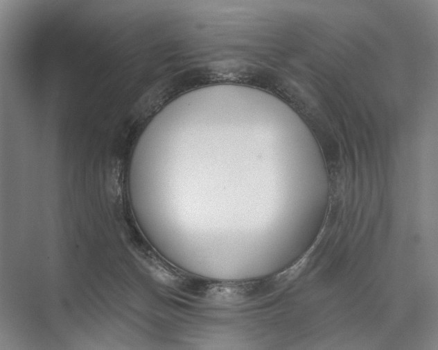 X0000073520174200608141009